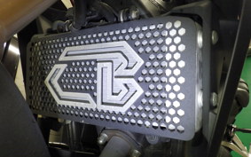 HONDA CB250RA 2008 MC52