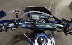 KAWASAKI D-TRACKER LX250E