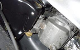 HONDA WAVE 110 2025 NF110TM