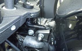 HARLEY FXLRST1920 2023