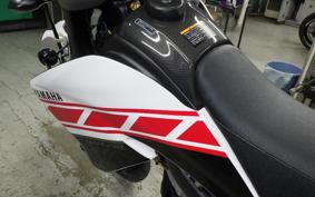 YAMAHA WR250X 2017 DG15J
