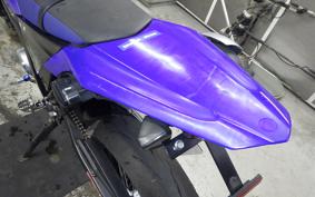 YAMAHA WR250X DG15J