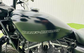 HARLEY XL883N 2010 LE2