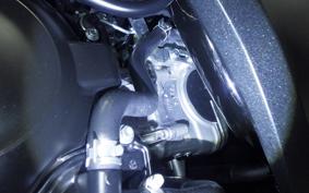 HONDA FORZA 250 2024 MF17