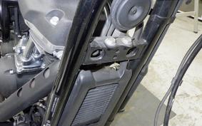 HARLEY FXBB1750 2019