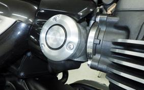 TRIUMPH SPEED TWIN 2024