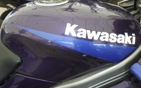 KAWASAKI ZZ-R250 EX250H