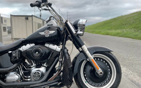 HARLEY FLSTFB 2009 JN5