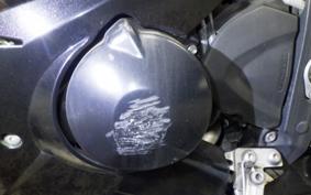 TRIUMPH DAYTONA 675 2013