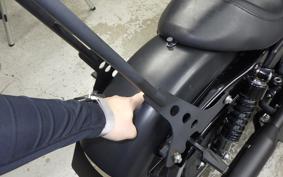 HARLEY XL883N 2015