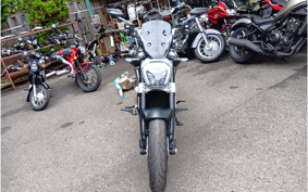 DUCATI DIAVEL 2016 GA01