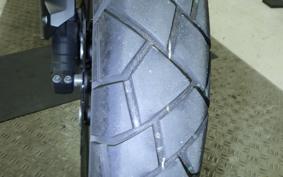 HONDA NX400 2024 NC65