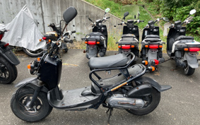 HONDA ZUMAR AF58