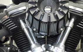 HARLEY FXBB1750 2019