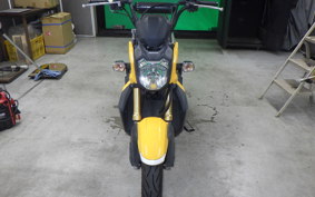 HONDA ZOOMER-X 2013 JF52