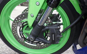 KAWASAKI ZX-4RR 2024 ZX400P