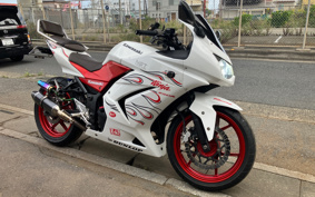 KAWASAKI NINJA 250R EX250K