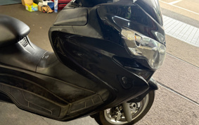SUZUKI SKYWAVE 250S-1 CJ46A