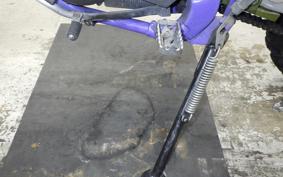YAMAHA TT250R RAID 2022 4GY