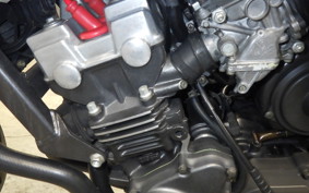 HONDA HORNET 250 MC31