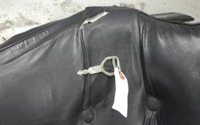 HONDA STEED 400 1992 NC26