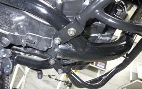 KAWASAKI 250TR 2024 BJ250F