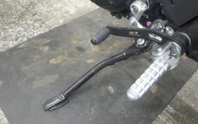 DUCATI SCRAMBLER 2024