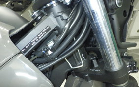 KAWASAKI KLX230DF 2021 LX232A