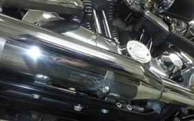 HARLEY XL1200V 2015