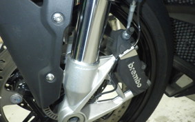 BMW S1000R 2024