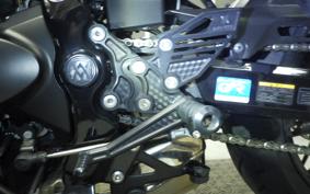 KAWASAKI Z900RS 2023 ZR900K