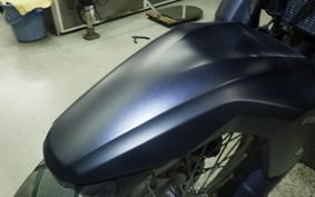KAWASAKI VERSYS 250 A LE250D