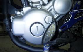 YAMAHA WR250X 2023 DG15J