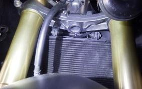 HONDA CBR600F 2013