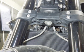 TRIUMPH STREET TRIPLE R 2021