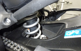 YAMAHA FZ1 FAZER 2010 RN21J
