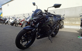 KAWASAKI Z250 ER250C