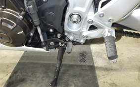 YAMAHA XSR900 GP 2024 RN96J