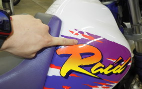 YAMAHA TT250R RAID 4GY