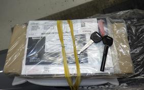 HONDA CRF250L 2024 MD47