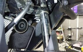 KAWASAKI VERSYS 250 A 2025 LE250D