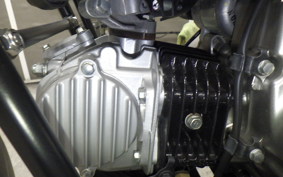 HONDA CT125 HUNTER CUB 2025 JA55