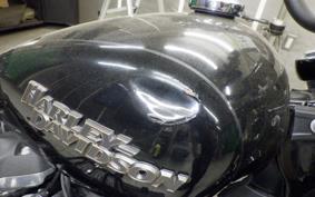 HARLEY FXBB1750 2019