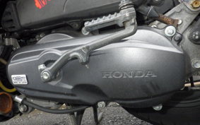 HONDA DUNK AF74
