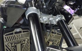 TRIUMPH TIGER 900 GT PRO 2020