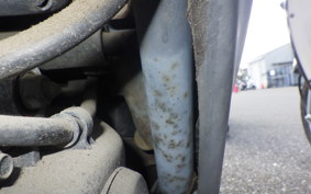 HONDA DIO ZX GEN 2 AF35