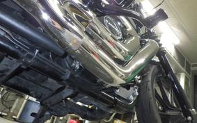 HARLEY XL1200NS 2020
