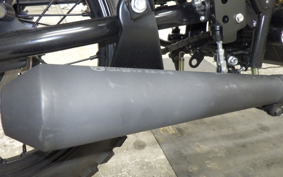 OTHER MUTT250 2021