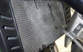 HONDA HAWK 11 2023 SC85