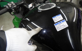 KAWASAKI NINJA 1000SX 2024 ZXT02K